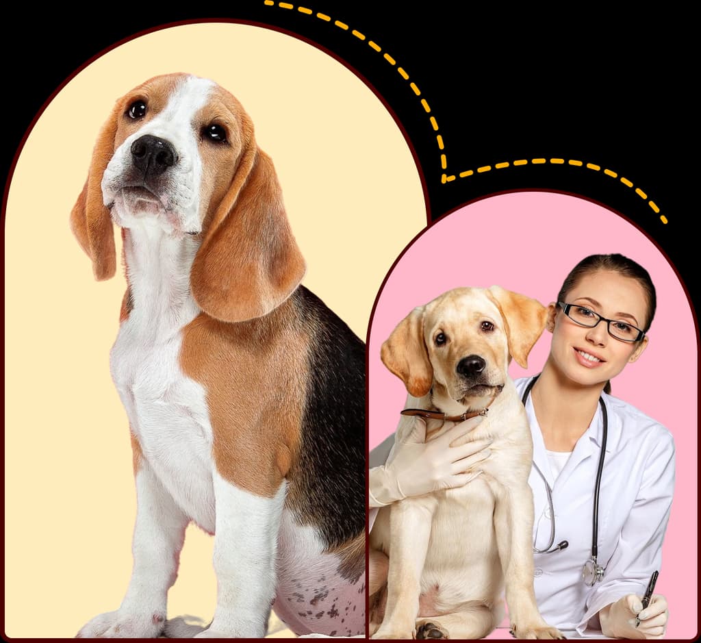 Nuestra misión en Migo